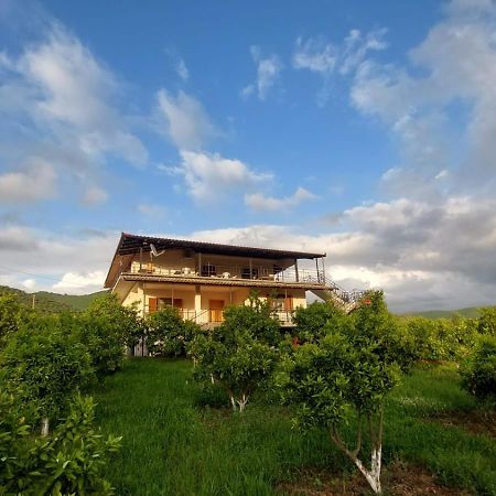 Guest House Xhaferaj Berat Esterno foto