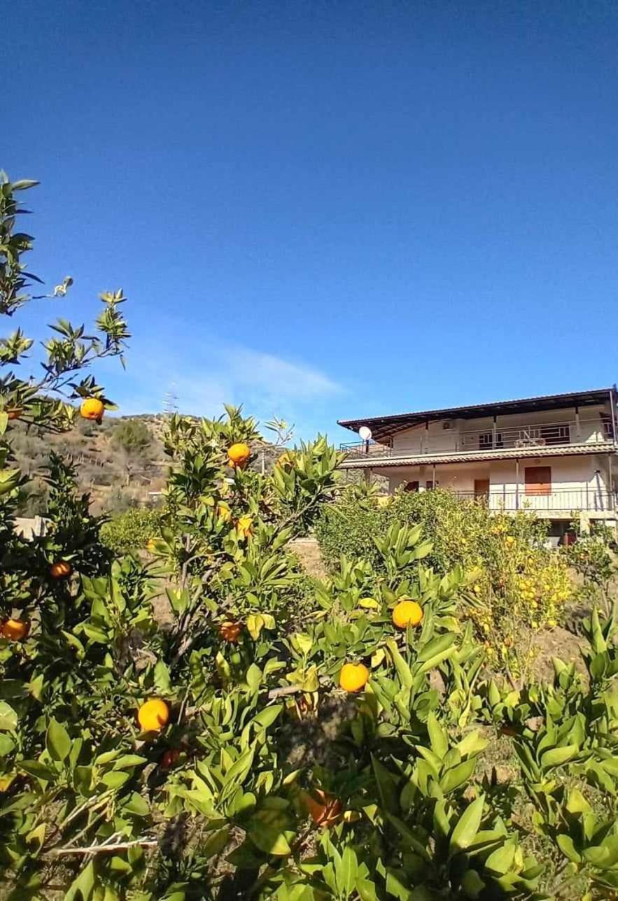 Guest House Xhaferaj Berat Esterno foto